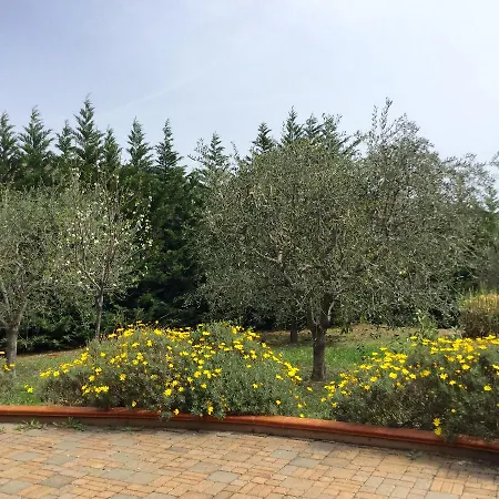 Hill In The Middle Of The Green Luxurious *