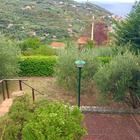 Hill In The Middle Of The Green Luxurious *